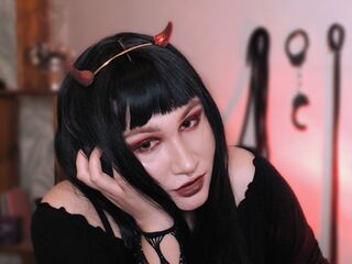 Palmerlaura